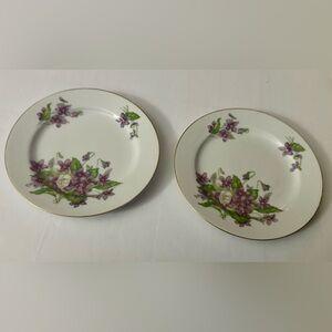 Set of 2 Mikado China Beverly Plates - Vintage Floral Design, Made in Japan